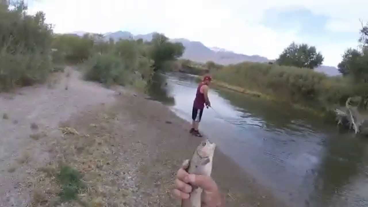 Killing it at the Owens River 9-28-15