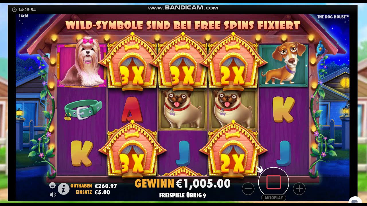The Dog House Mega Win 5&euro;
