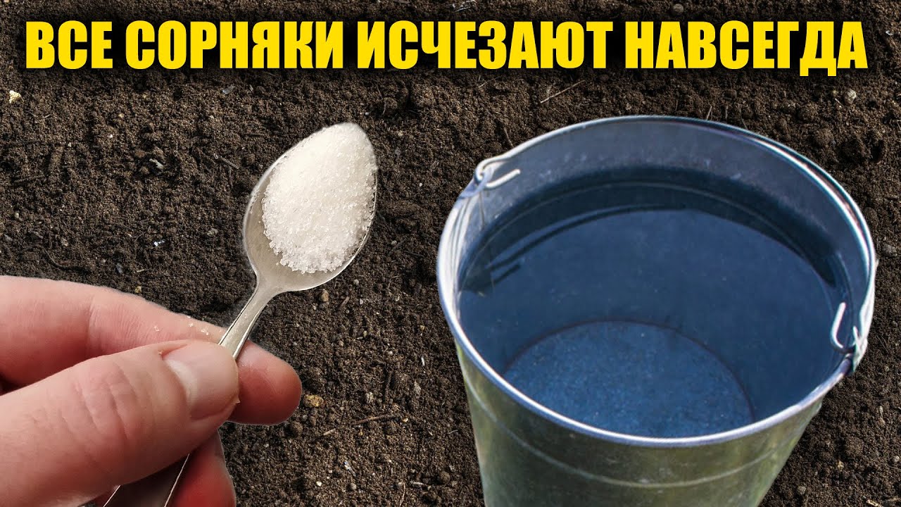 Любые сорняки исчезнут за 1 минуту навсегда! Проверенный способ как избавиться от сорняков без химии