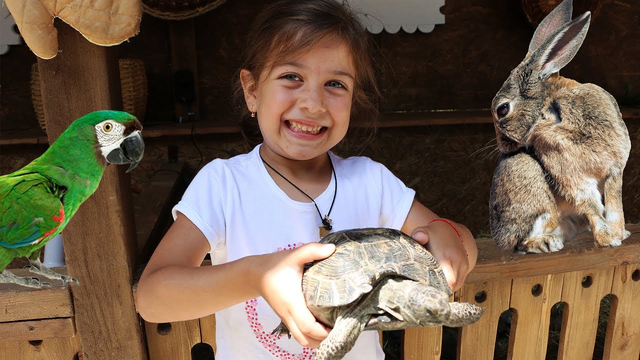 ემილია მთაწმინდაზე კონტაქტურ ზოოპარკში აჭმევს ცხოველებს