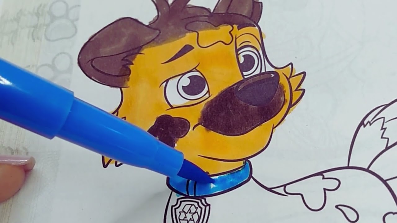 PINTANDO O CACHORRINHO