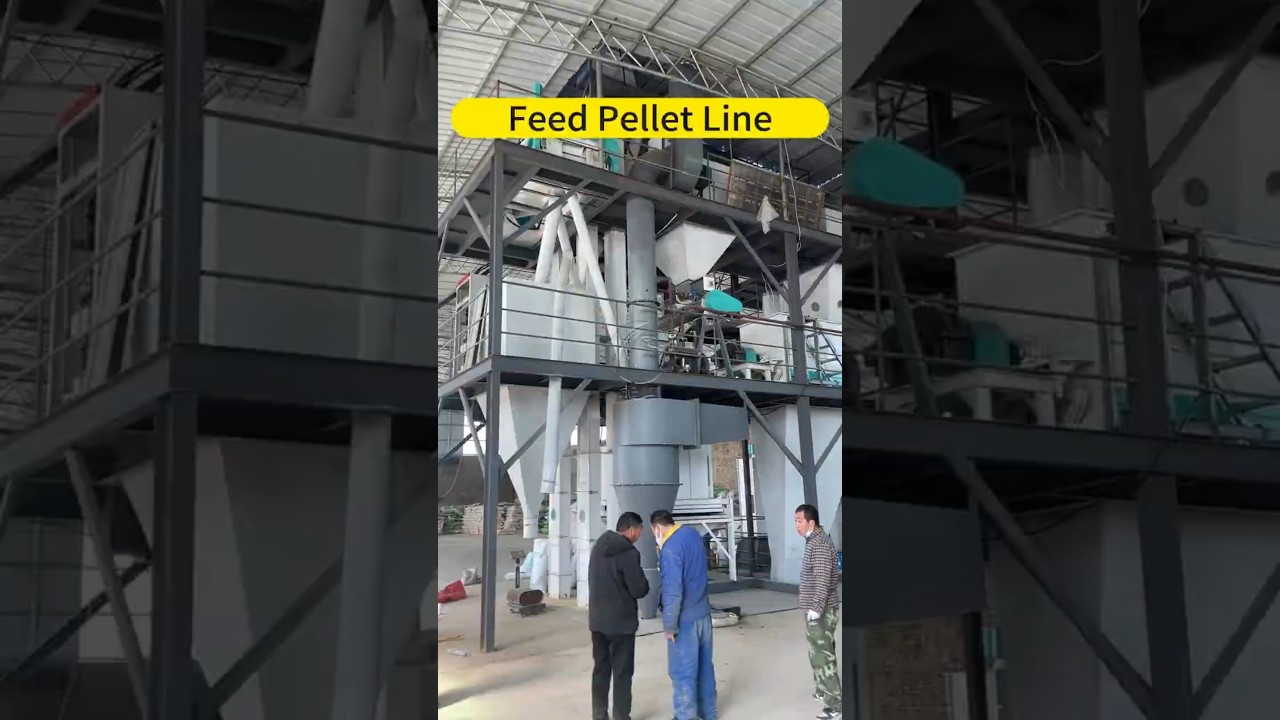 Fully Automatic 5-7T/H Feed Mill Project Manufacturer - Herm Machinery #poultryfeedmachine