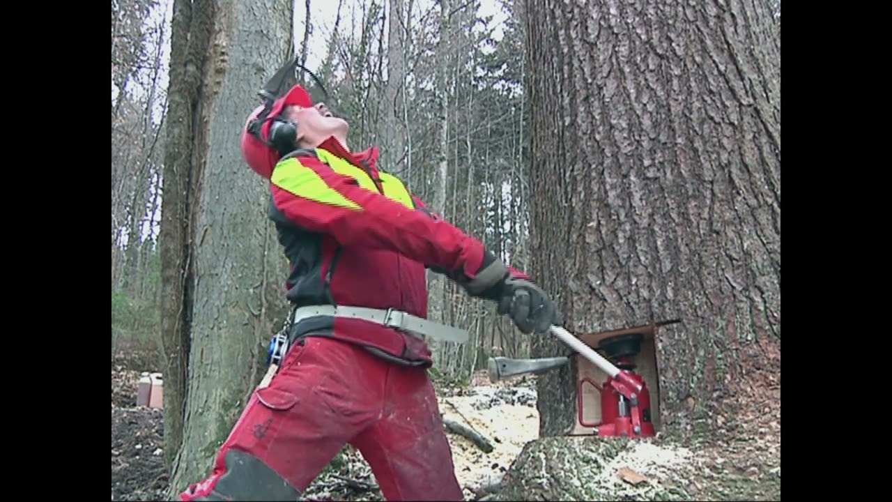 Baumf&auml;llen, gewusst wie: Wie setzte ich den hydraulischen F&auml;llheber ein?