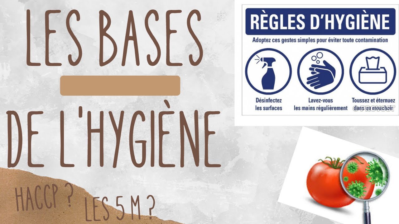 Les BASES de l'HYGIÈNE en 10 MIN (BTS Diététique)
