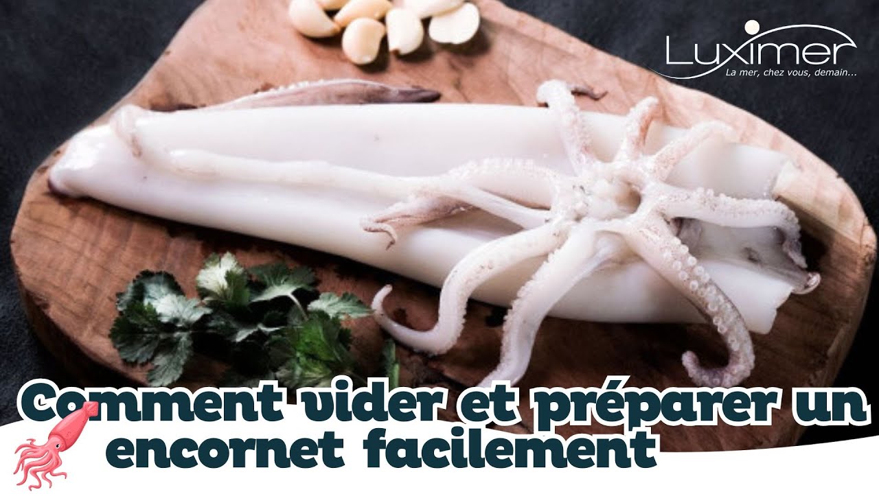 Comment vider et préparer un encornet