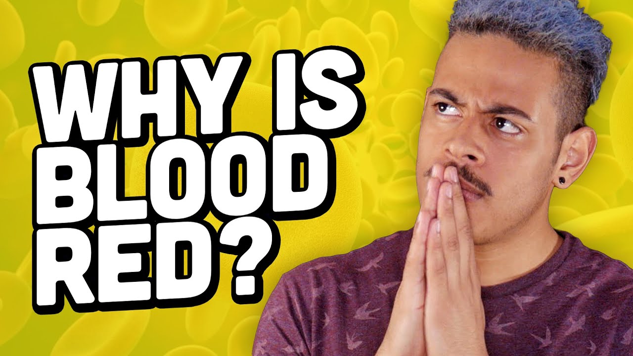 Why Is Blood Red?