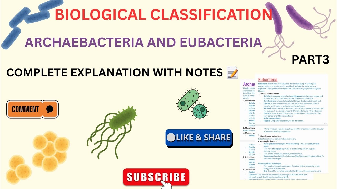 Archaebacteria and Eubacteria|Chapter2|Full Explanation|Class11|Complete Notes 📝|NCERT
