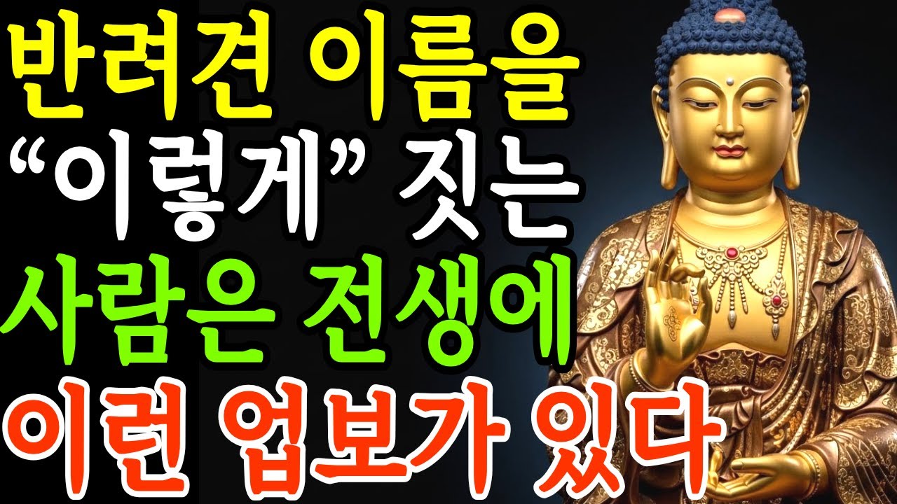 반려동물 이름을 음식으로 짓는 사람들은 안 봐도 이런 업보가 있다 | 부처님지혜 | 부처님말씀 | 석가모니명언 | 석가모니가르침 | 불교철학 |