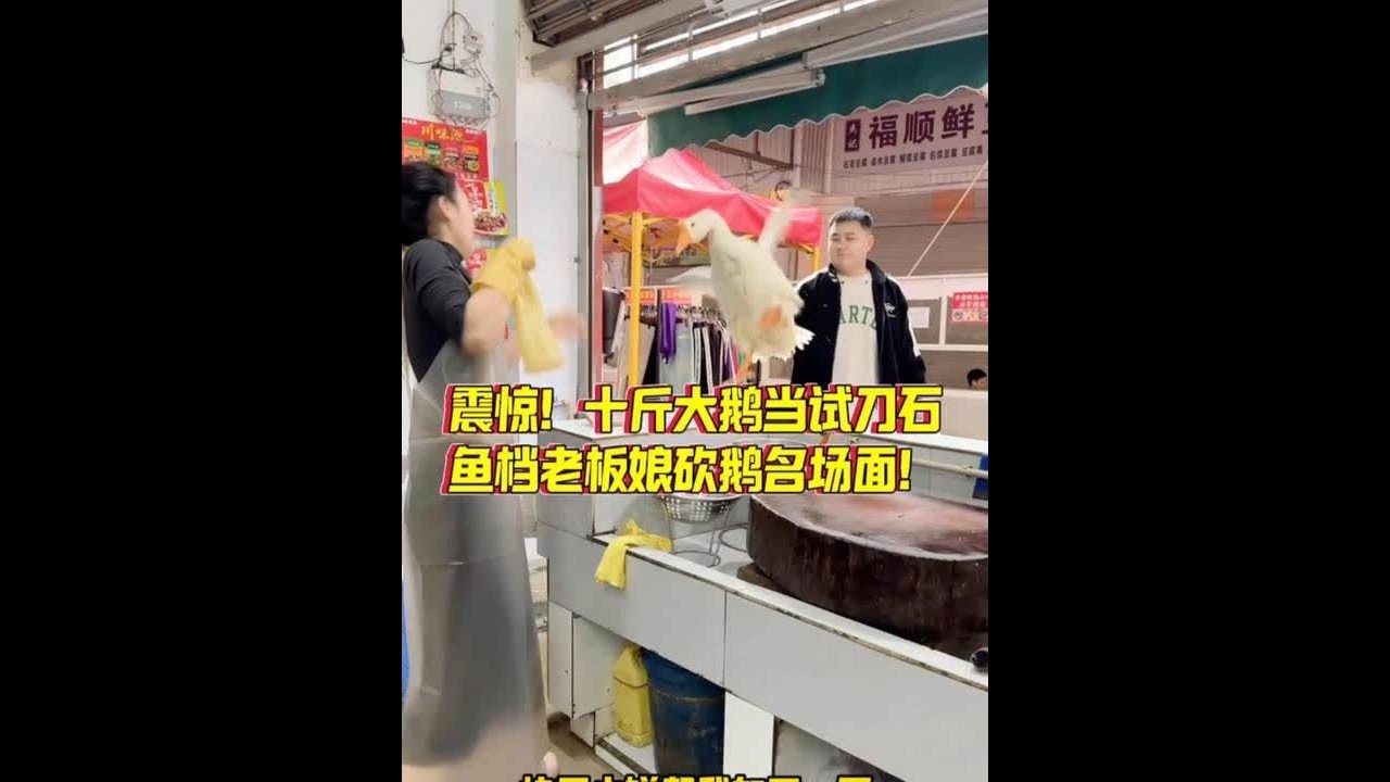 震惊！十斤大鹅当试刀石 鱼档老板娘砍鹅名场面！ #菜市场 #刀工 #杀鱼技术 #记录真实生活