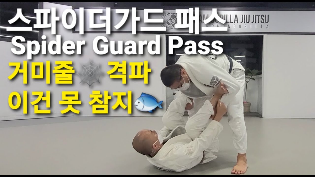 스파이더가드 패스 Spider Guard Pass (기술도움 : 남하룡)