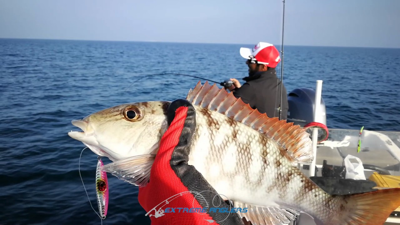 Slow Jigging & Light Casting by Almehairbi Pro Team