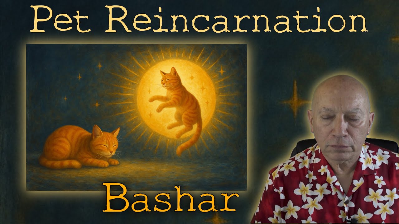 Pet Reincarnation: Bashar Channeled by Darryl Anka