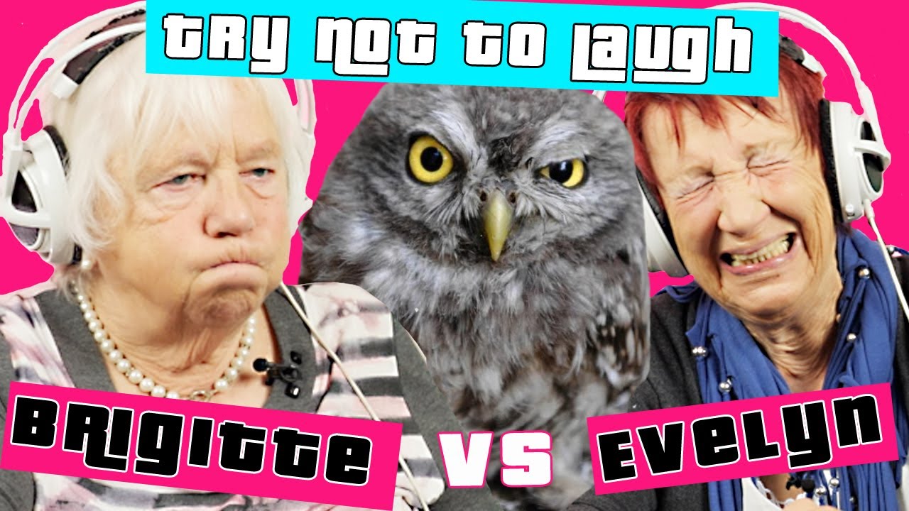 Omas ERSTE Try NotTo Laugh CHALLENGE - Tiere | Oma Geht Steil 🚀