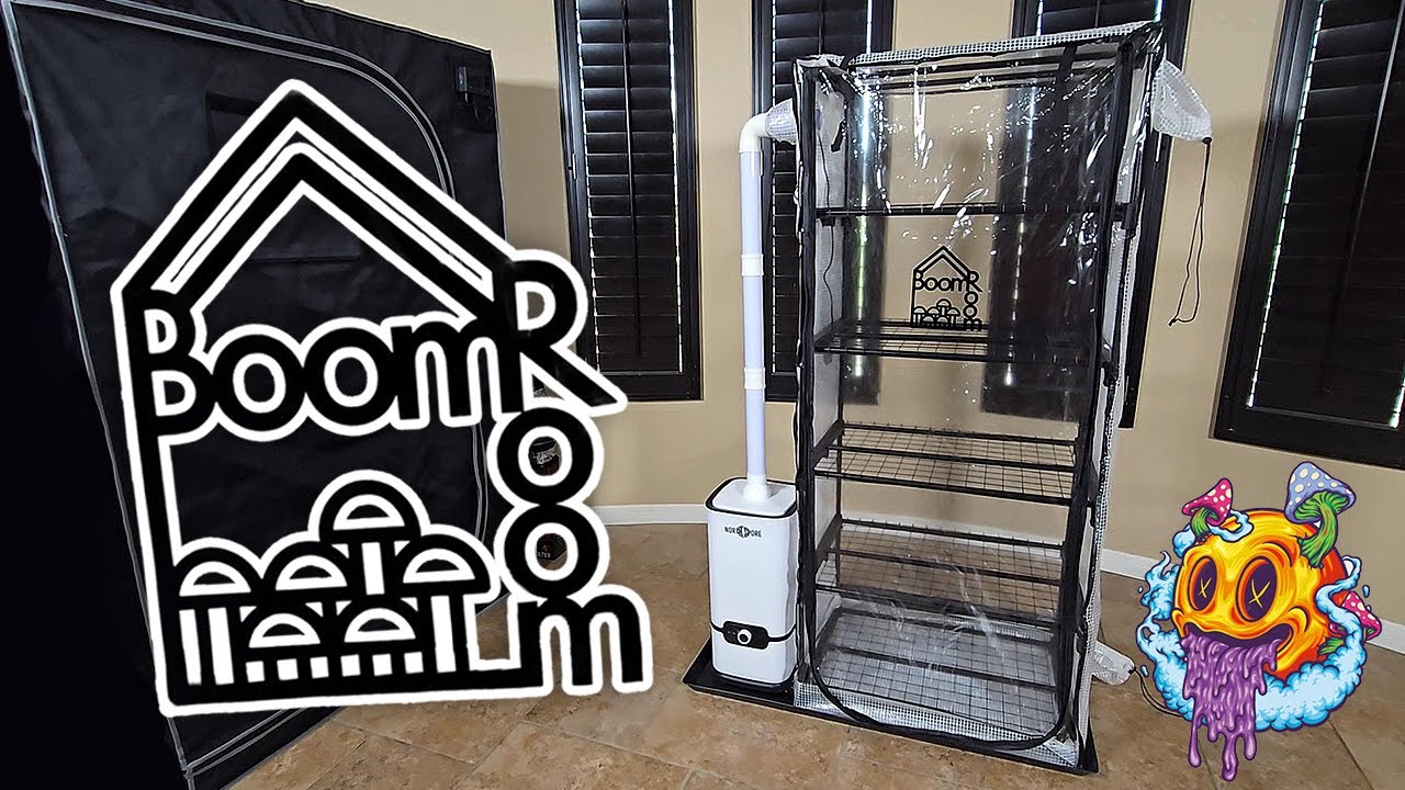 North Spore Boom Room II Unboxing & Setup