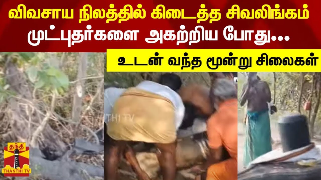 விவசாய நிலத்தில் பழங்கால சிலைகள் கண்டெடுப்பு | Lord Shiva | Kallakurichi