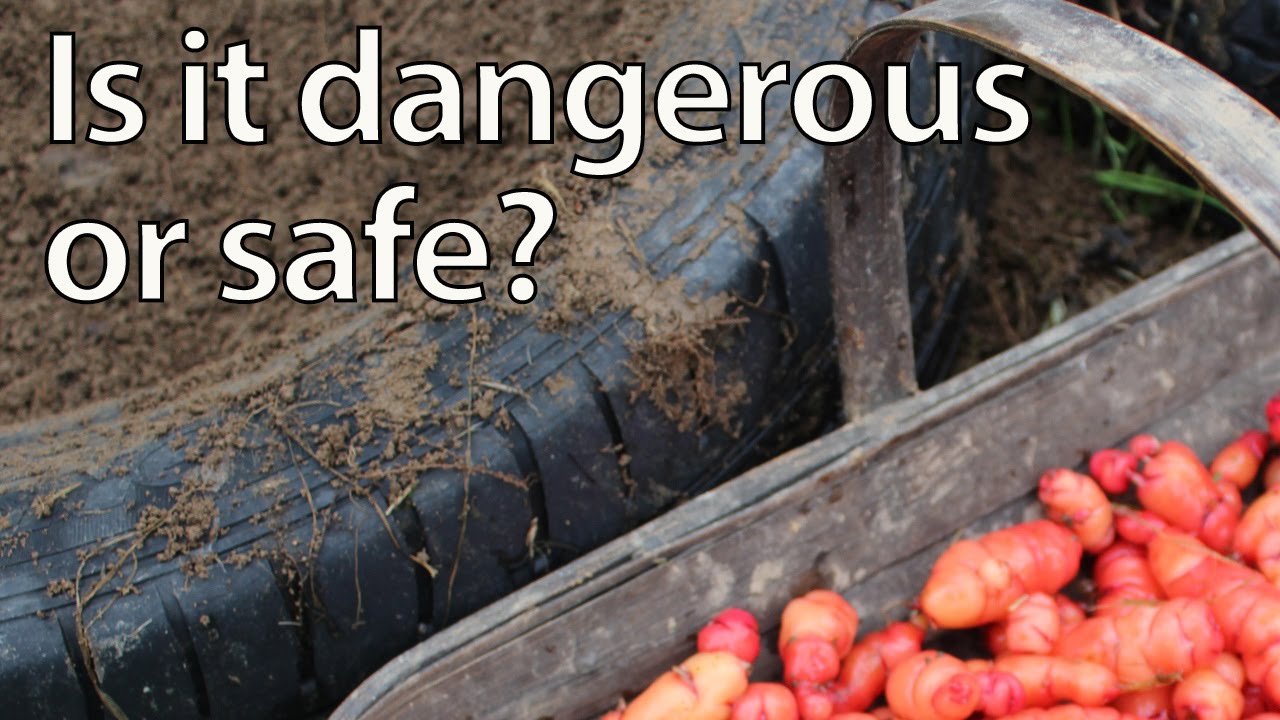 Can you Grow Food in Tires? (Tyres)