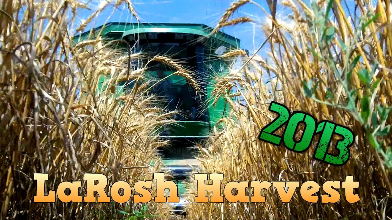LaRosh 2013 Wheat Harvest