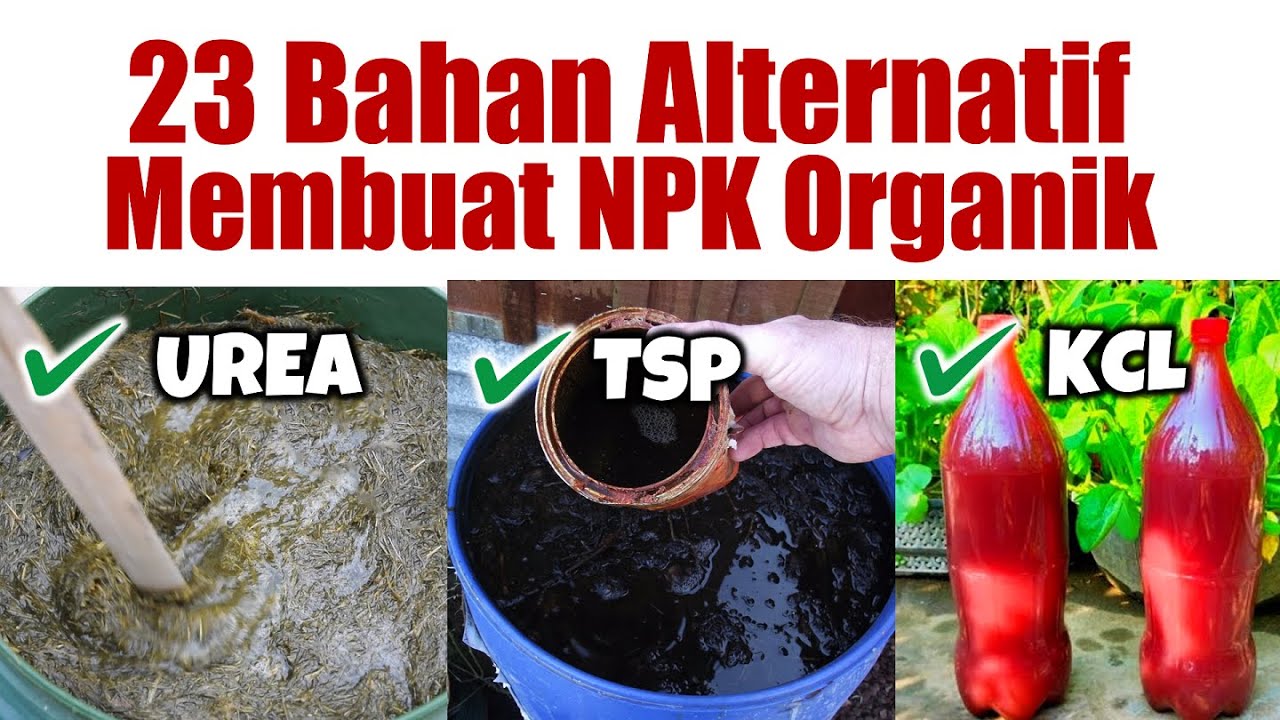 WAJIB TAU ❗❗❗ 23 BAHAN ALTERNATIF MEMBUAT PUPUK NPK ORGANIK | UREA, TSP / SP36, KCL