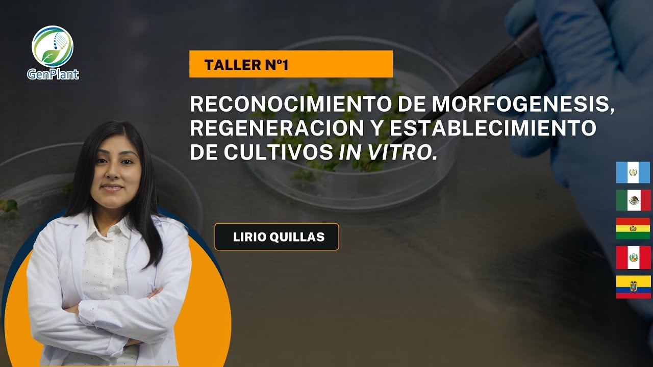 TALLER: RECONOCIMIENTO DE MORFOGENESIS, REGENERACION Y ESTABLECIMIENTO- PARTE 3