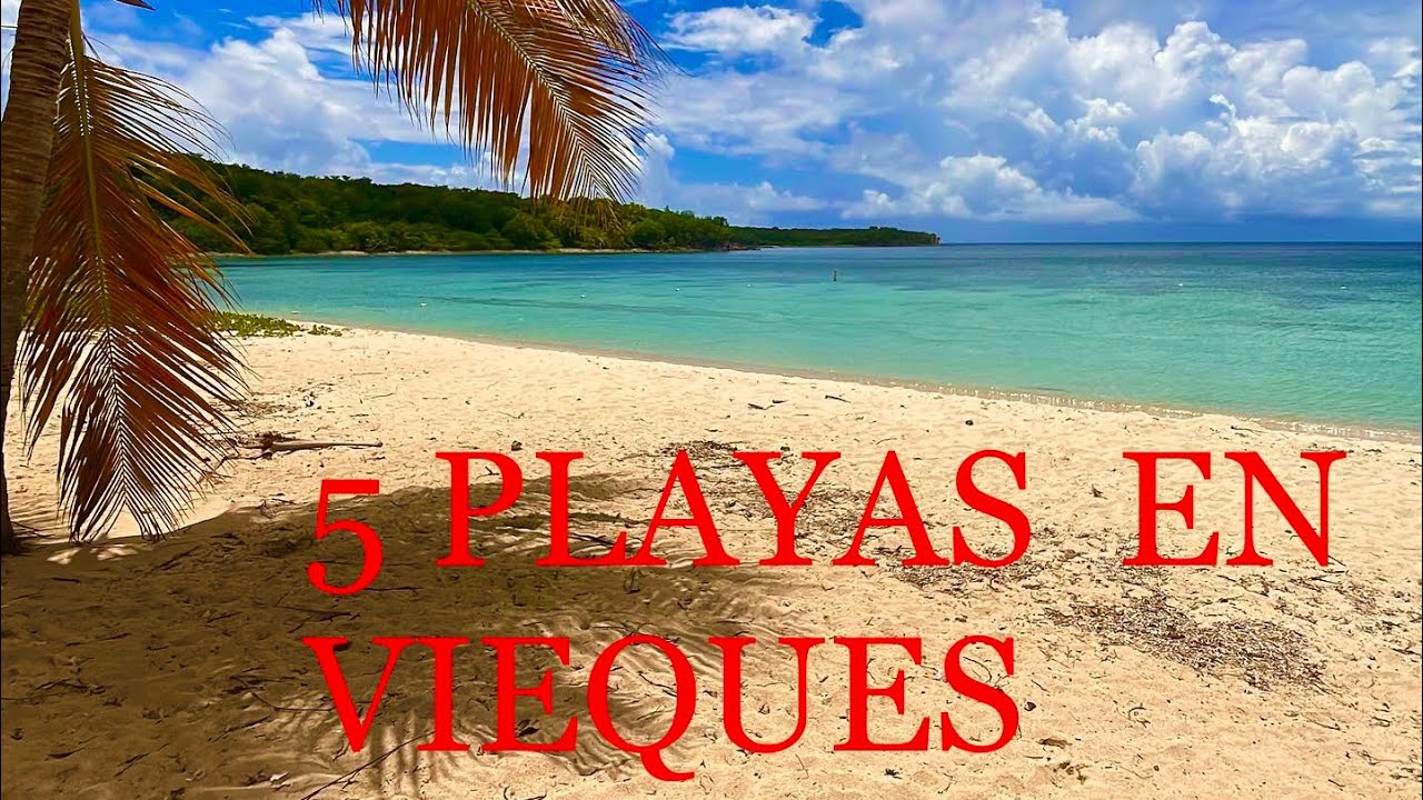 5 DE LAS MEJORES PLAYAS DE VIEQUES, PUERTO RICO. 🏖⛱🌊 🇵🇷