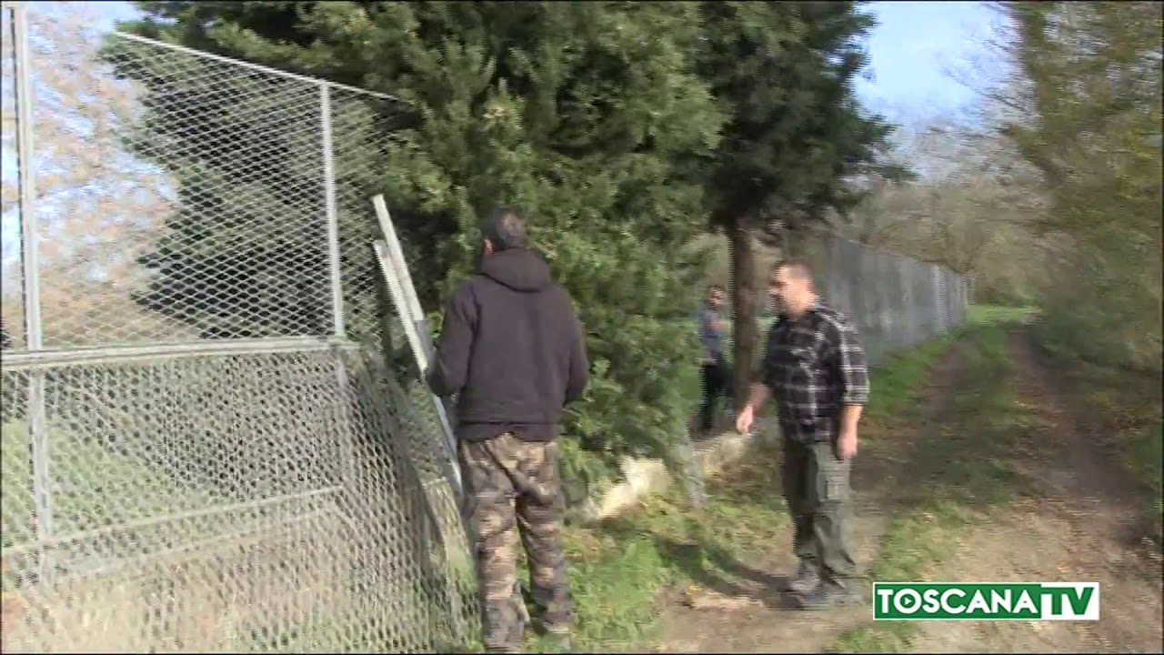 2019-12-05 FIRENZE - MAXI-FURTO A D6G, SVUOTATO MAGAZZINO INCISA