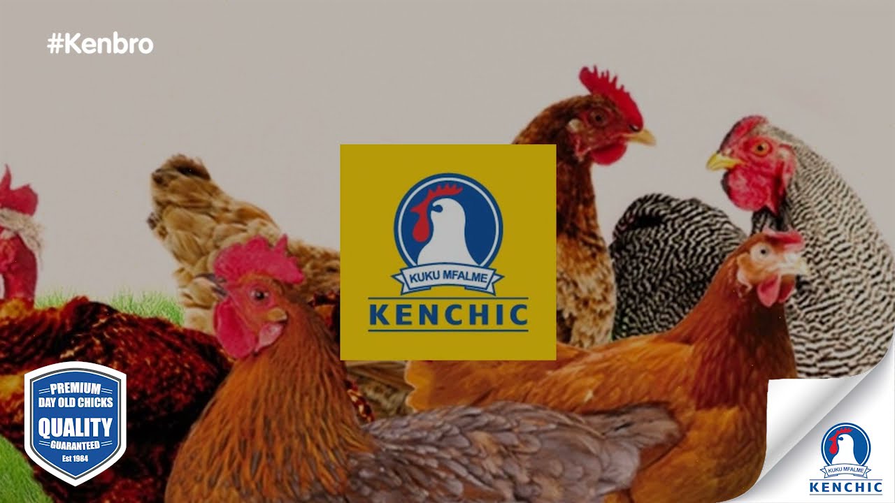 Advantages of the Kenbro Chicken