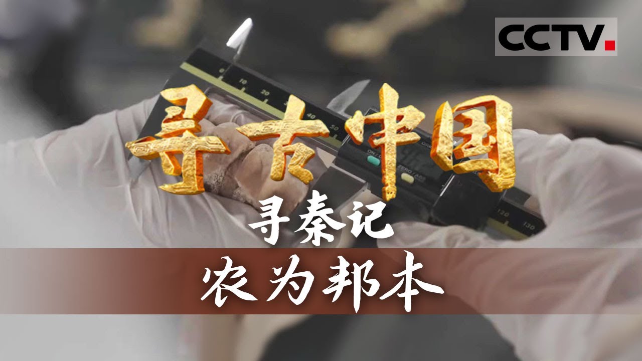 《寻古中国》农为邦本：重农抑商政策助力秦国崛起 经济腾飞&ldquo;秦富天下十倍&rdquo;&mdash;&mdash; 寻秦记【CCTV纪录】