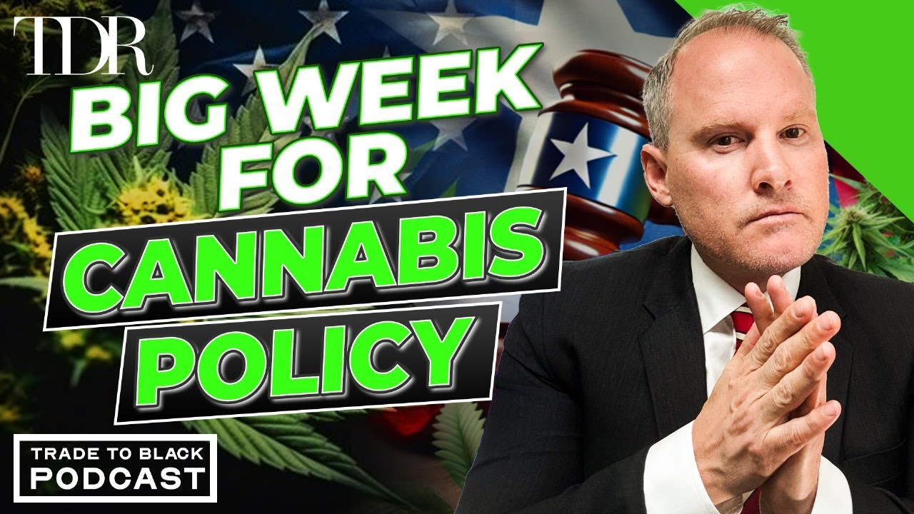 Hemp Crackdown, Cannabis vs Alcohol & Reform Moves in North Carolina | TDR Weekly&nbsp;Cannabis Recap