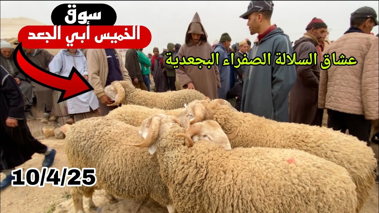 اليوم من سوق الخميس أبي الجعد إقليم خربيكة 10/4/25 مع تمن 🐑🐑🇲🇦