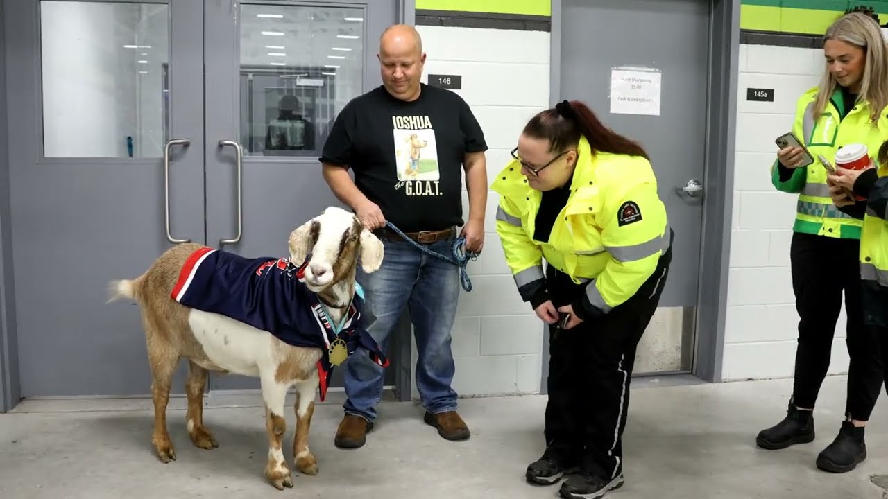 Joshua the Goat CBS Stadium