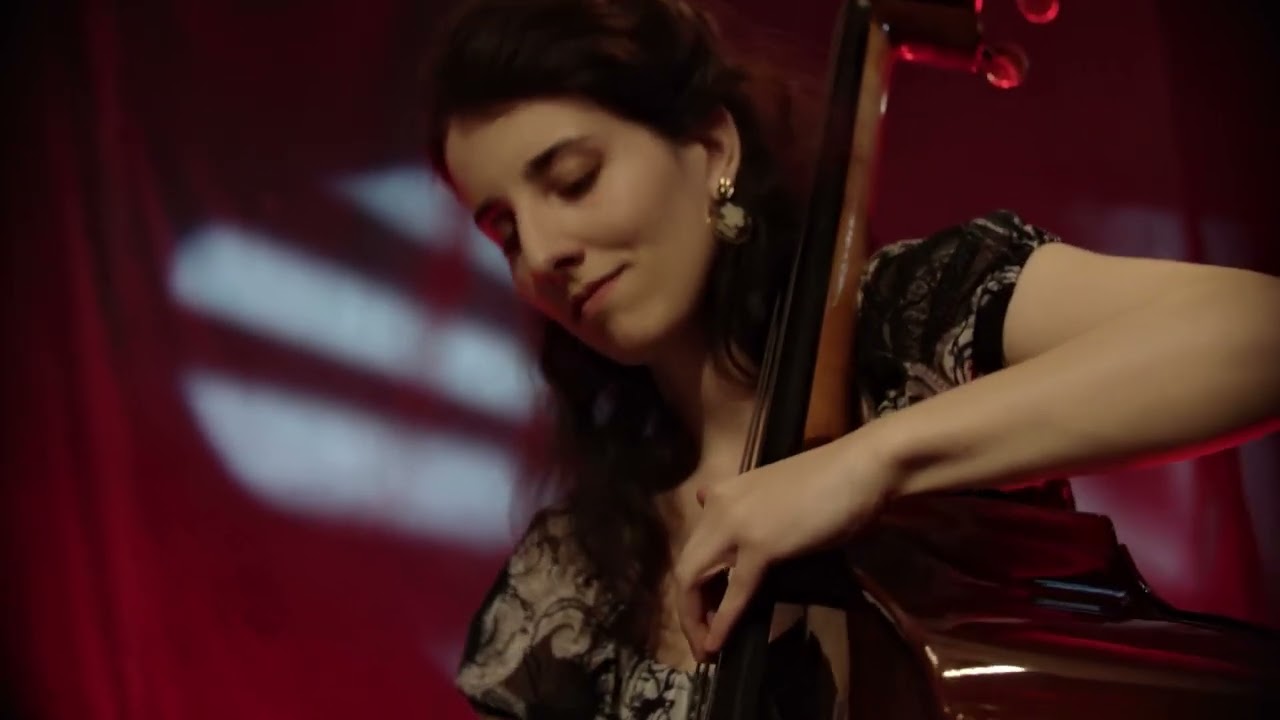 Les Ours de Mer (Live) - BRIN d'ZINC