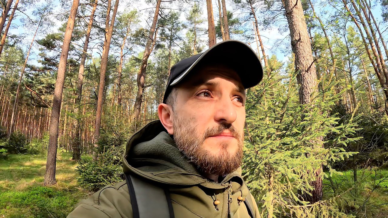 Поиск Грибов дубовиков! Строчки и Опята!