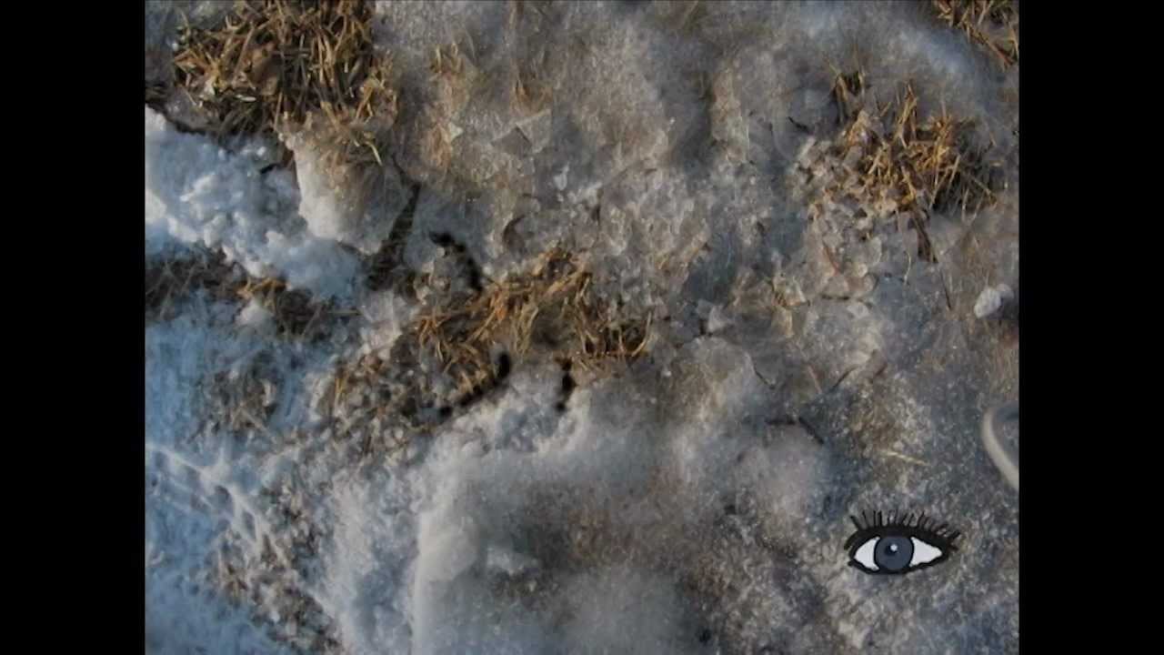 Who are the forgotten dead of Vulcan County?