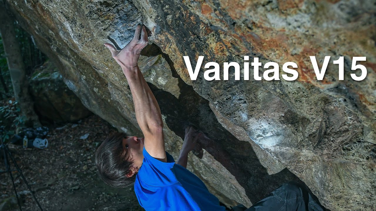 Naoki Shimatani - Vanitas(V15/8C)