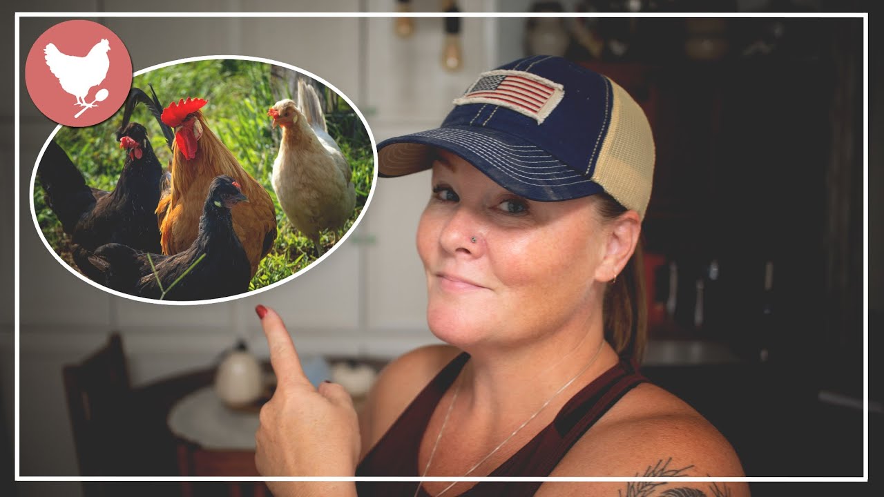 They're My Back-up Plan (& SOUPtember) | Cosmopolitan Cornbread