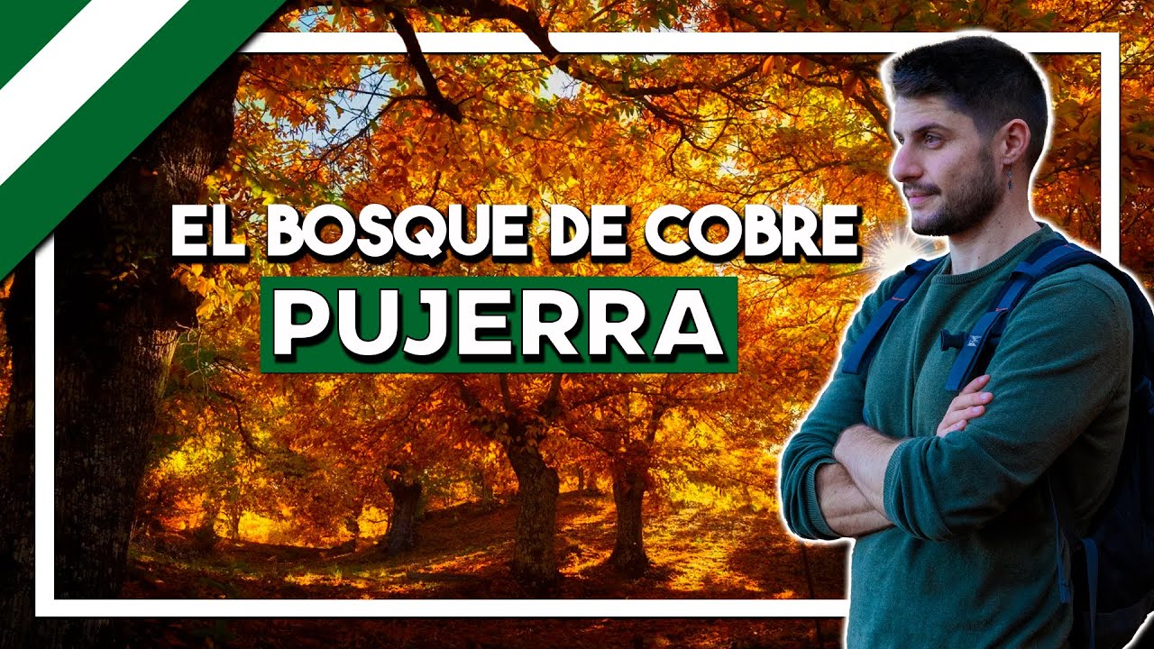 El BOSQUE DE COBRE en otoño 🍁 PUJERRA 🍁 Valle del Genal en Málaga