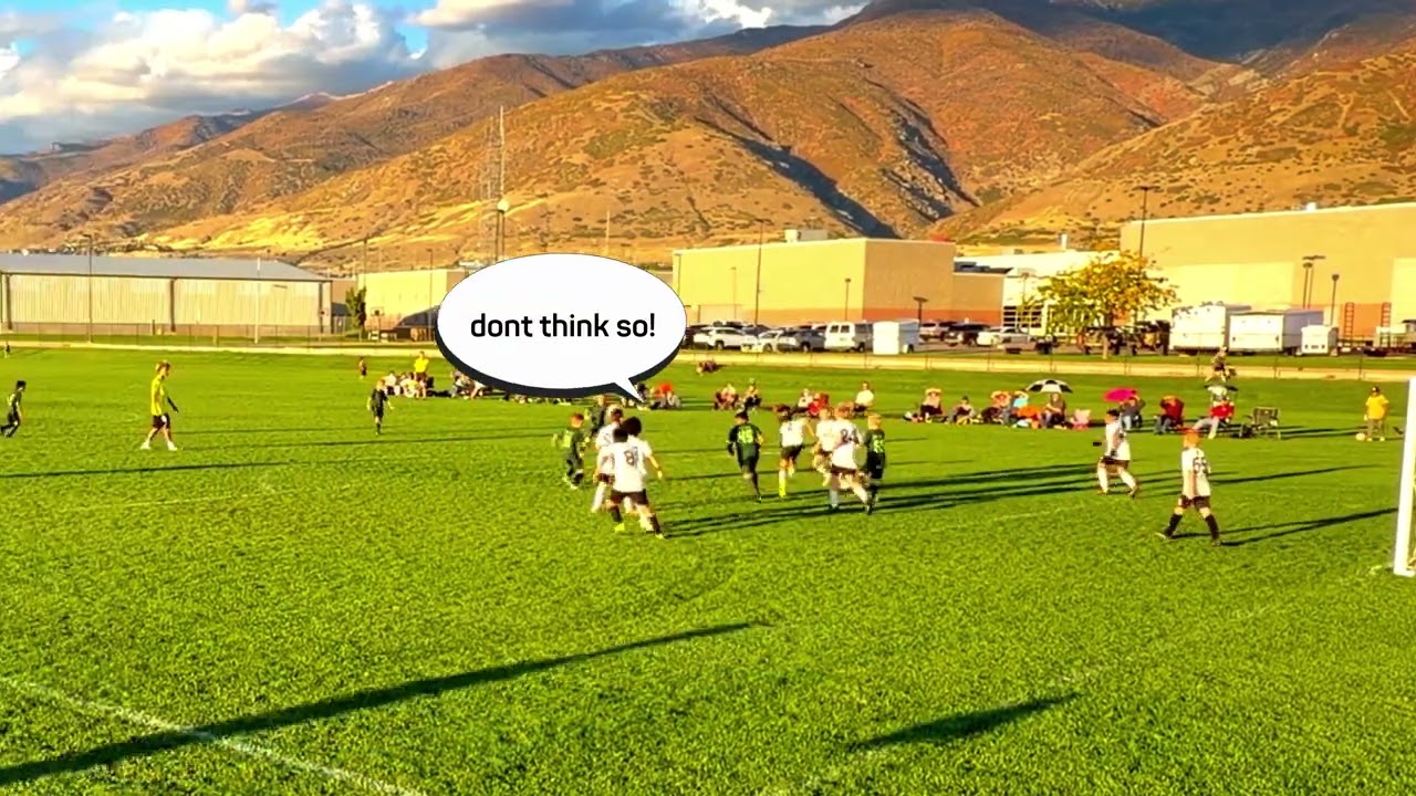 2025 Highlights