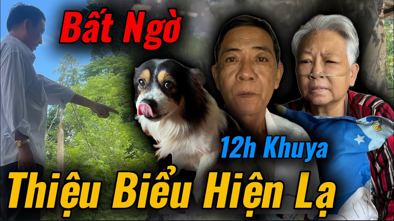 Bất Ngờ, Đến Nhà Chú Út Phát Hiện Thiệu Làm Chuyện Này 12h Khuya Chỉ Gì Đều Này 