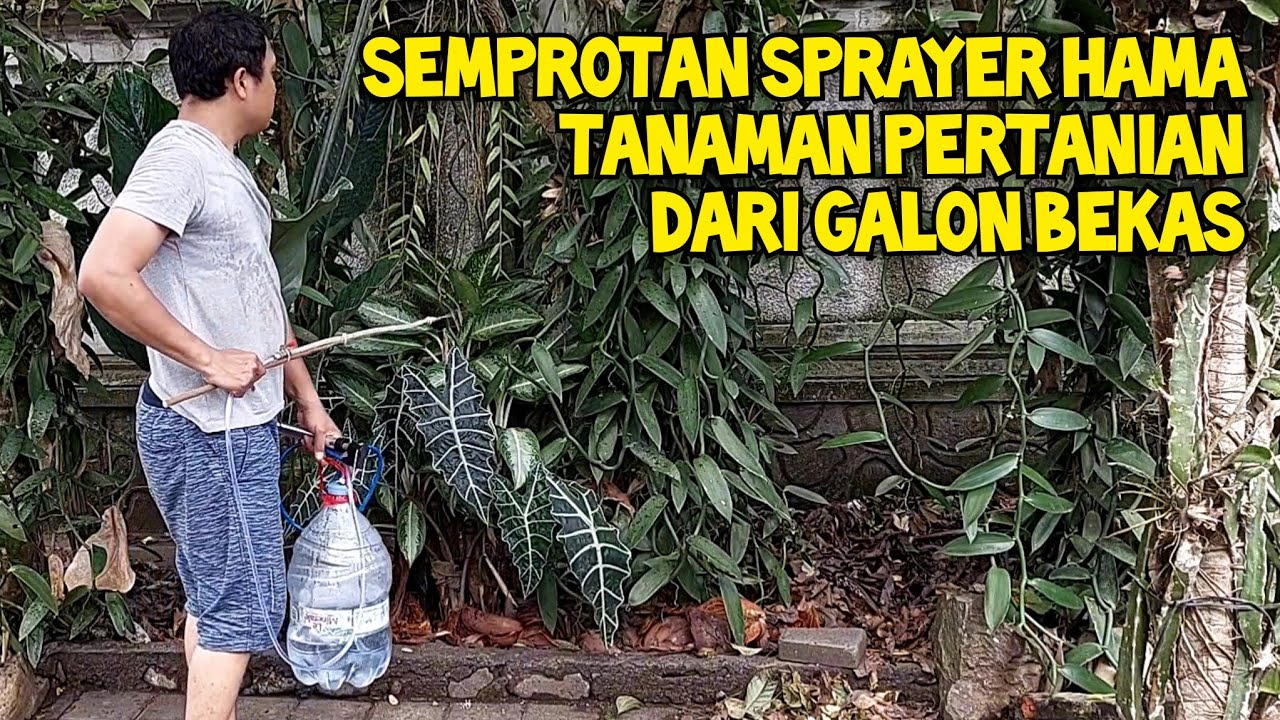 Cara Membuat Sprayer/Semprotan Tanaman Pertanian Manual Untuk Hama atau Burung