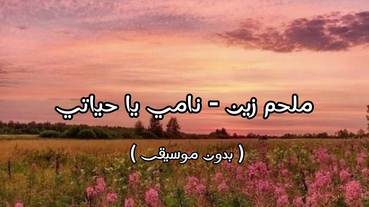 ملحم زين - نامي يا حياتي ( بدون موسيقى )
