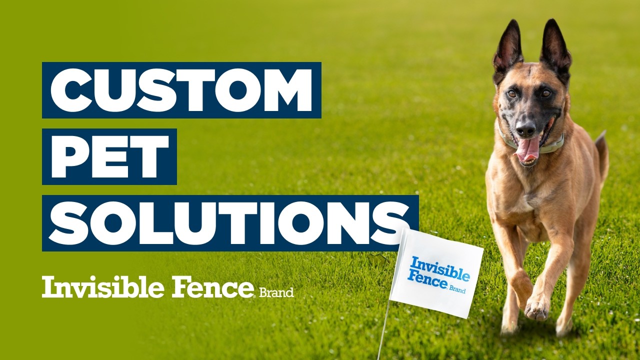 Custom Pet Solutions | Invisible Fence&reg; Brand