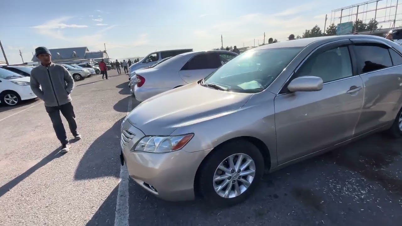 13 ноября 2025 г.