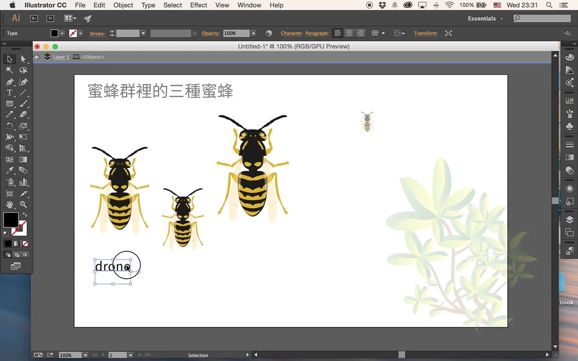 New Feature of Adobe Illustrator CC 2015 / INFOGRAPHIC