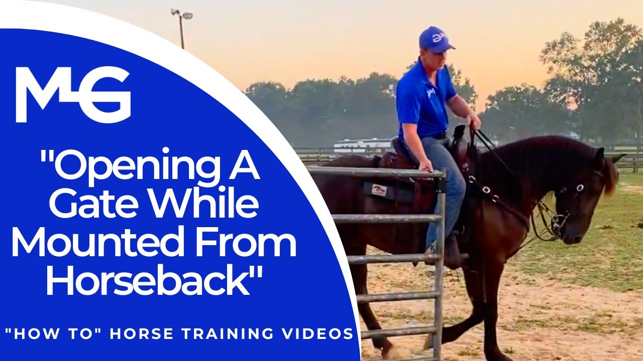 Opening A Gate While Mounted From Horseback | The Horse Guru- Michael Gascon