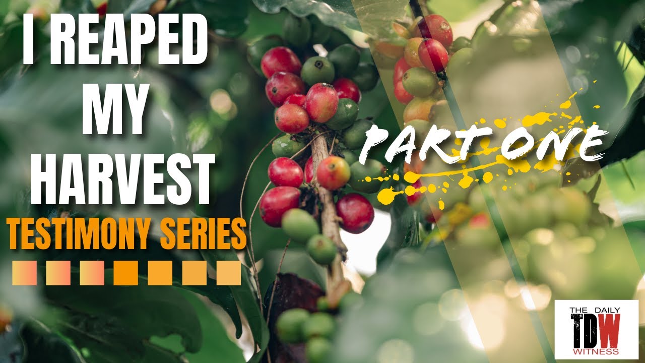 I Reaped My Harvest | Part 1