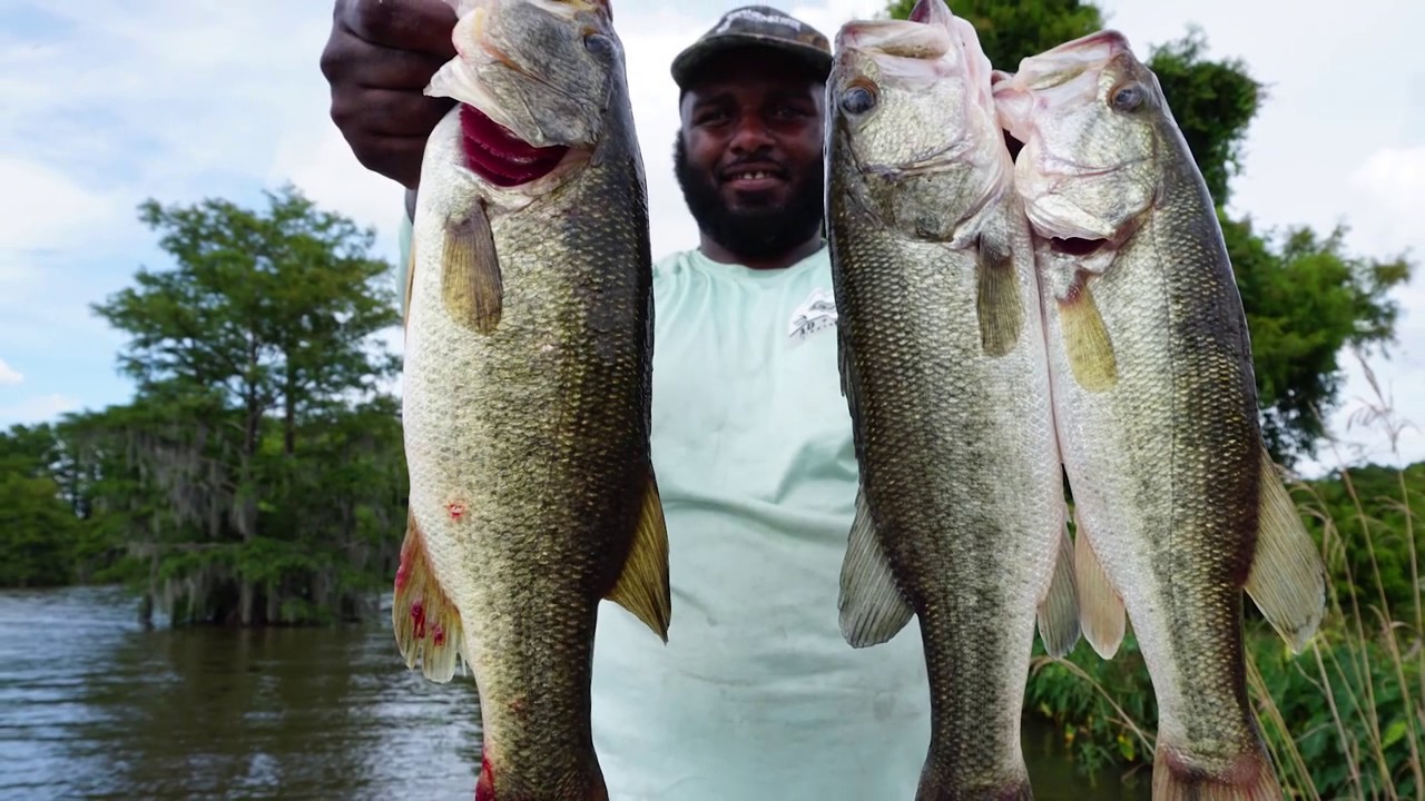 Bass Fishing Lake Blackshear