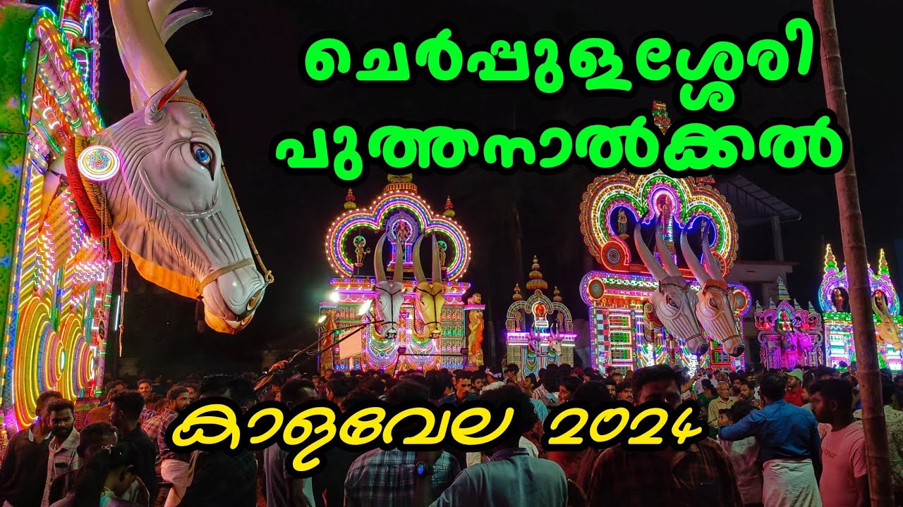 Cherpulassery Puthanalkkal Kalavela 2024 | Kalavela | Puthanalkkal Pooram 2024