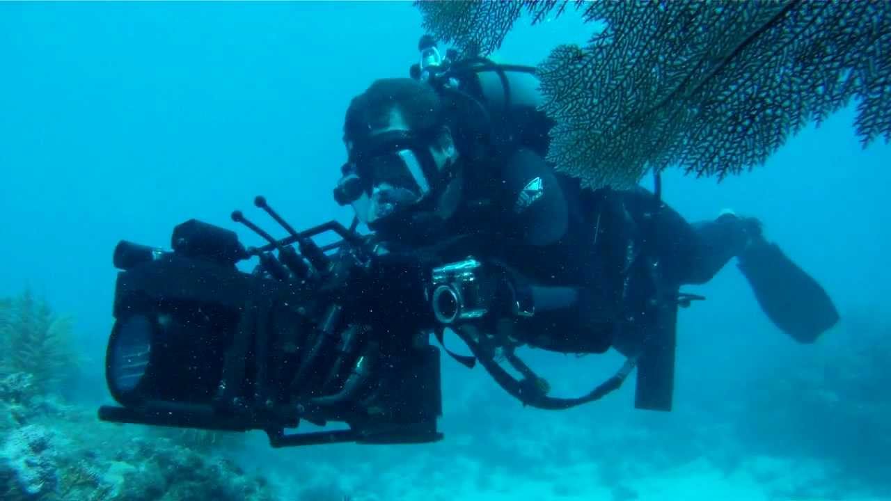 Navigator