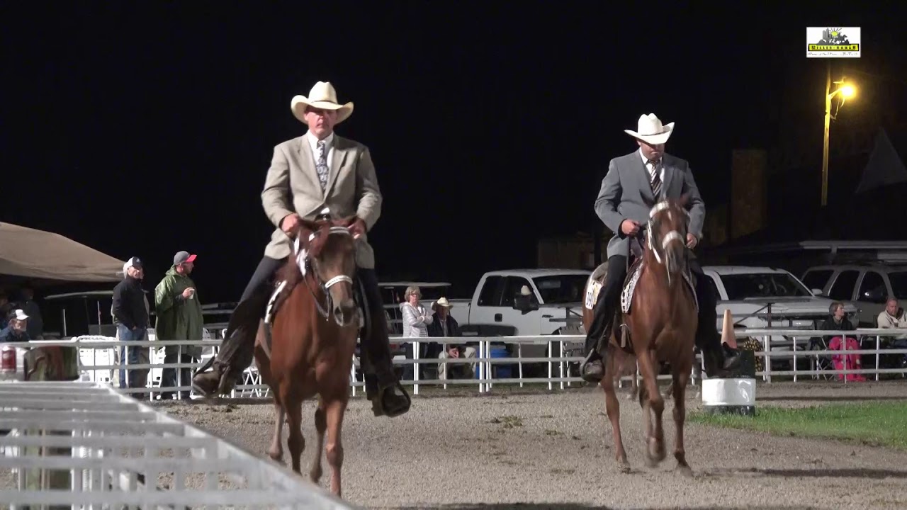 Ava 2018 WGC Open5+ Performance Missouri Fox Trotter