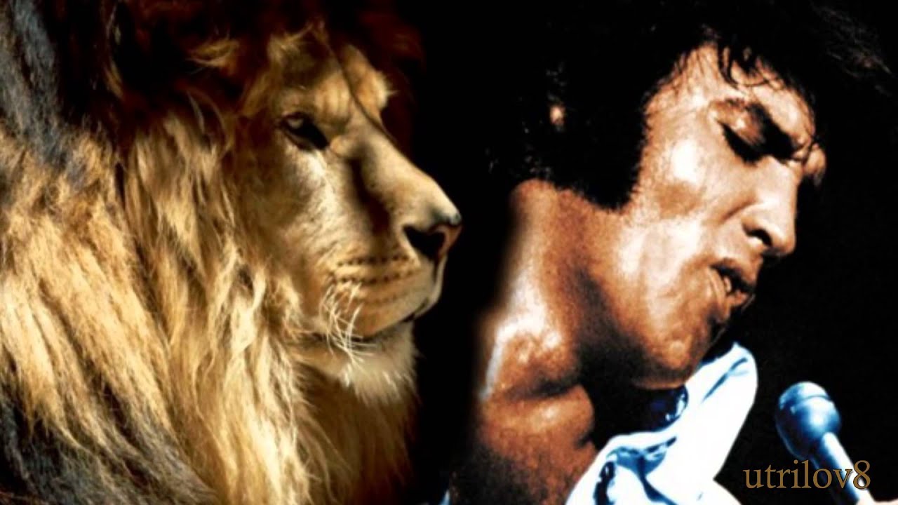 Elvis Presley - Animal Instinct   (Alternate Master)  With Lyrics